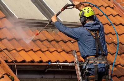 Démoussage et hydrofuge de toiture à Villecien